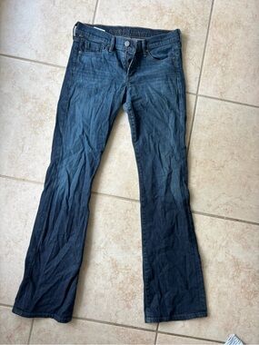 Citizens of Humanity Low Rise Jeans